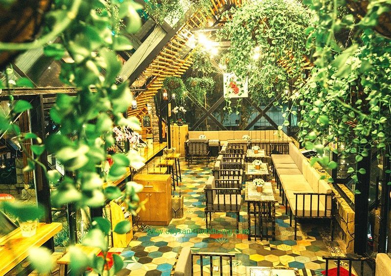 quán cà phê sân vườn