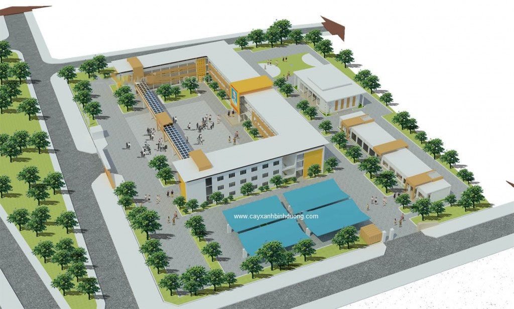 thiết kế sân vườn trường học