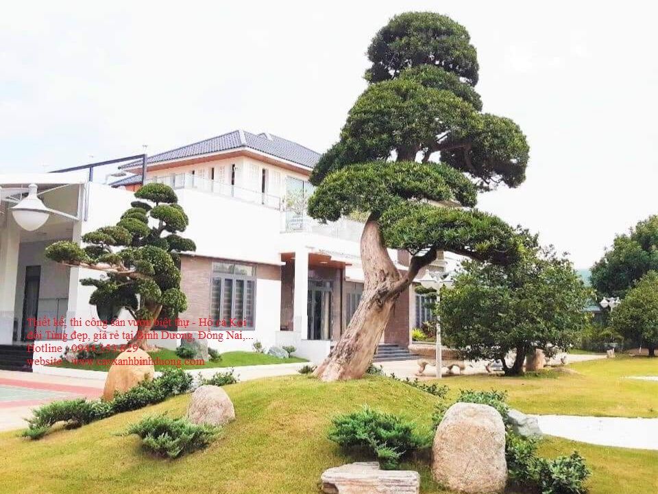 Thi Công Sân Vườn đẹp