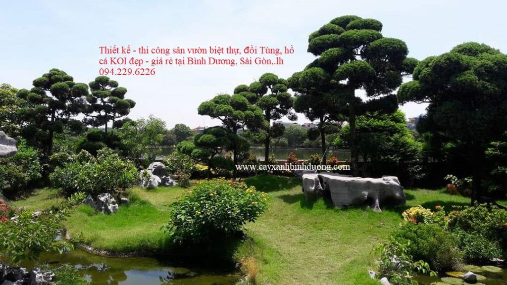 Thiết kế sân vườn biệt thự đẹp giá rẻ nhất Sài Gòn