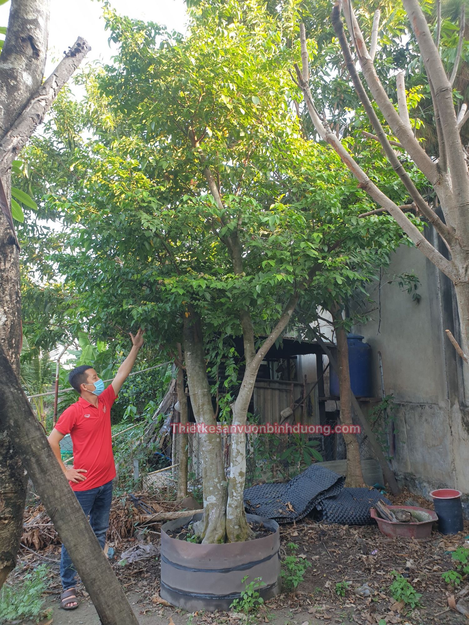 Khe Bong Mat Binh Duong