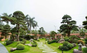san vuon kieu nhat