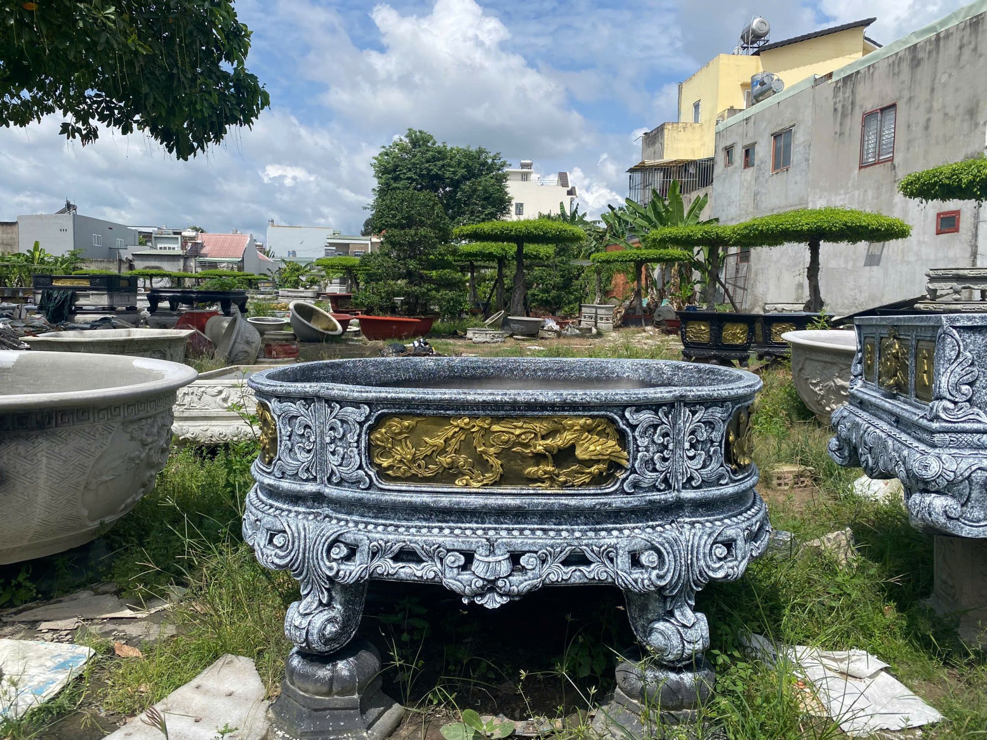 chậu trồng cây cảnh