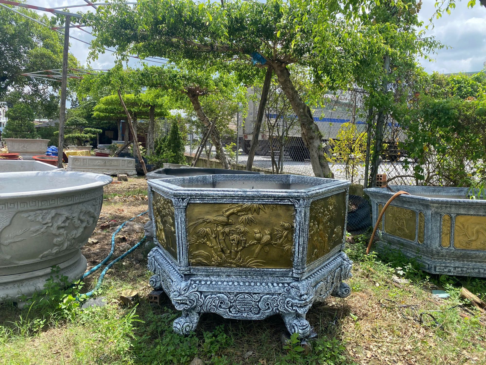 chậu trồng cây cảnh