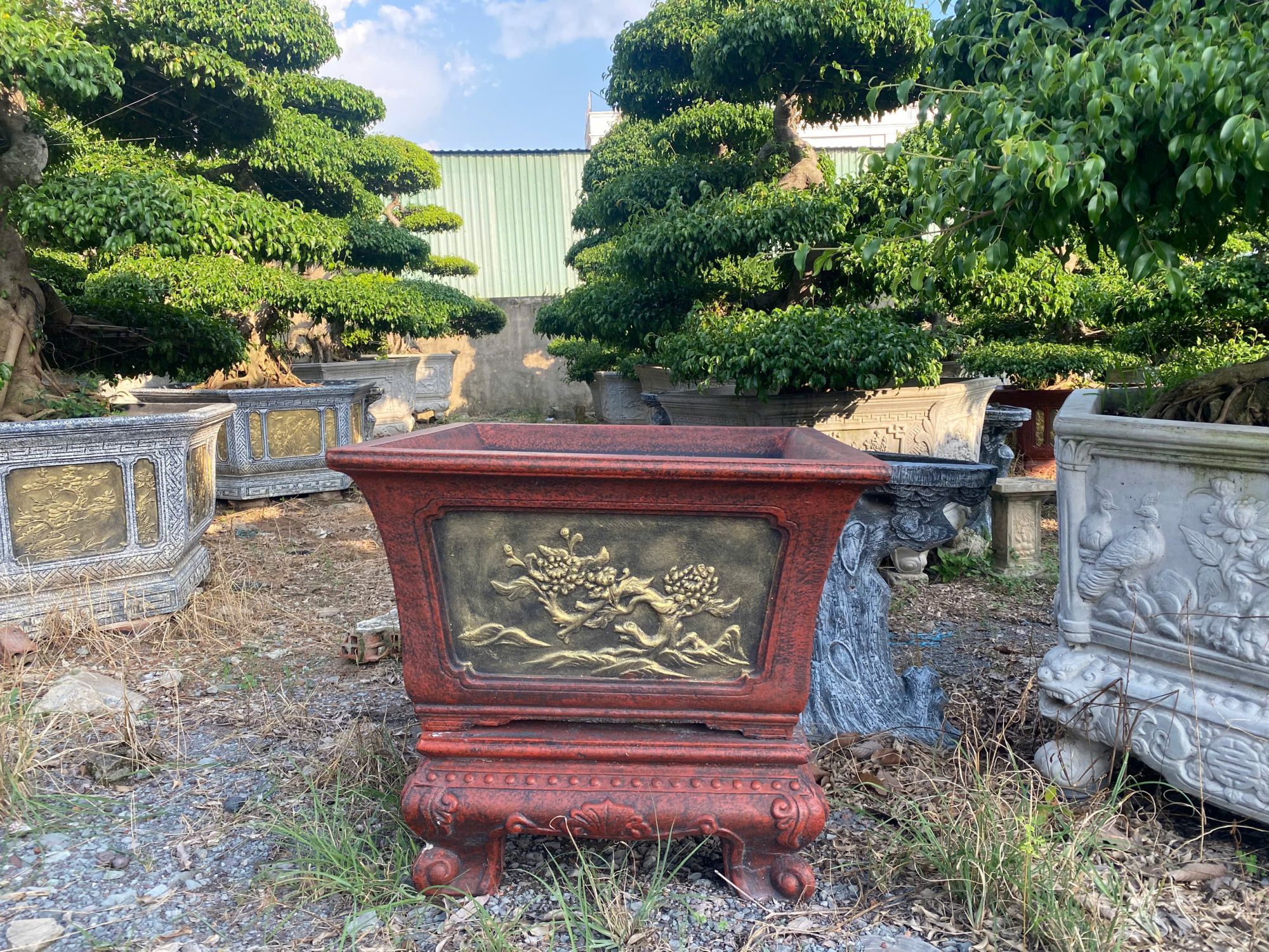 chậu trồng cây cảnh