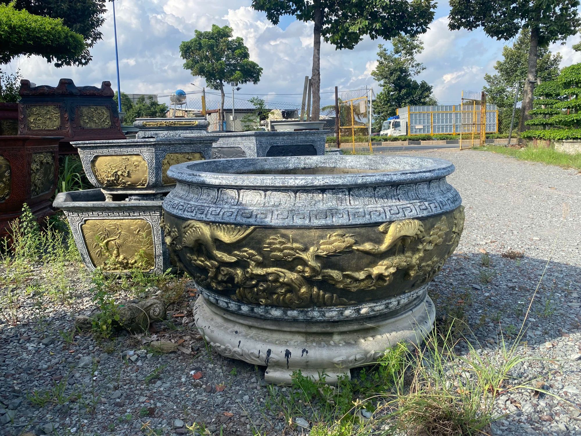 chậu trồng cây cảnh