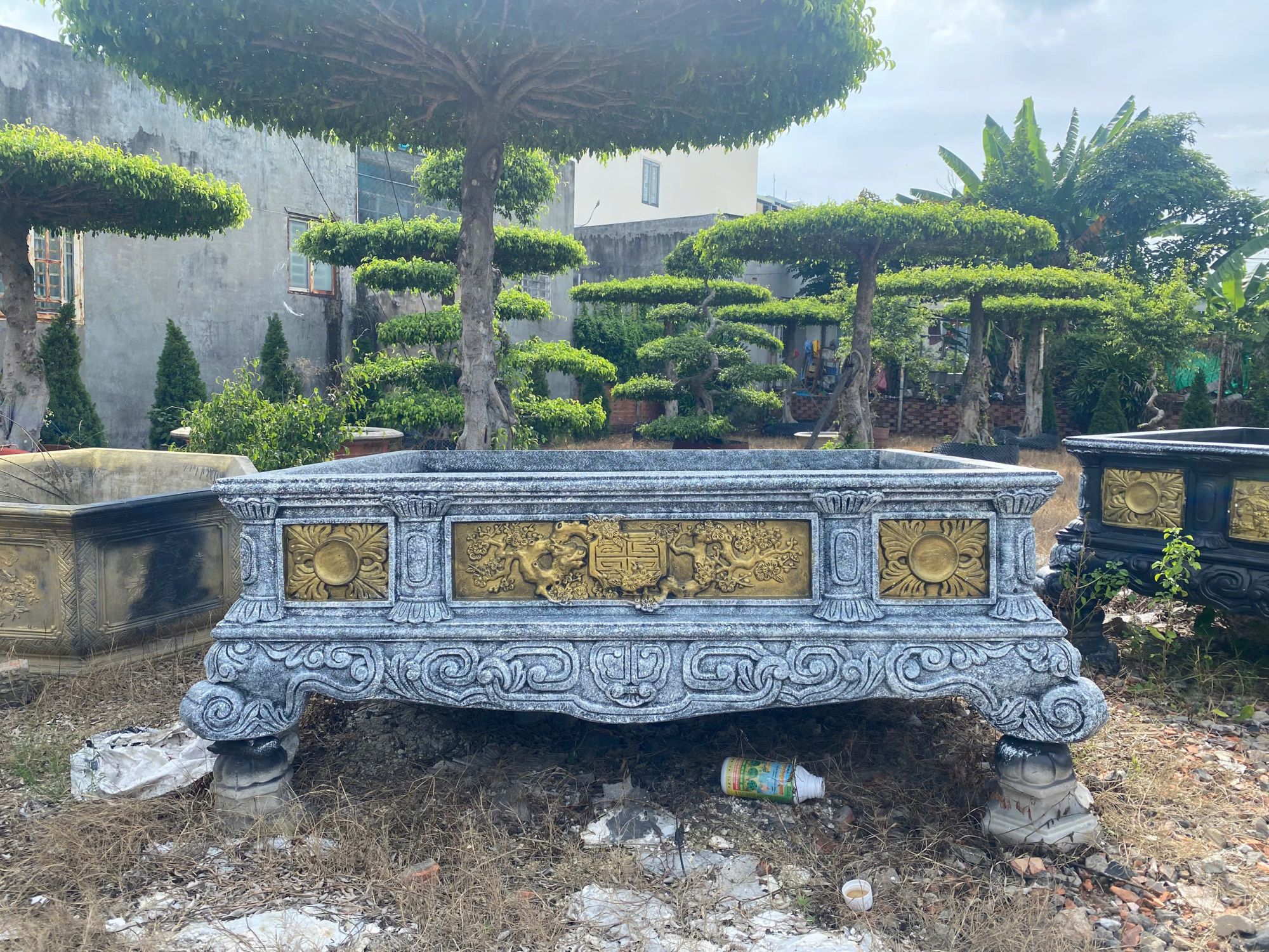 chậu trồng cây cảnh