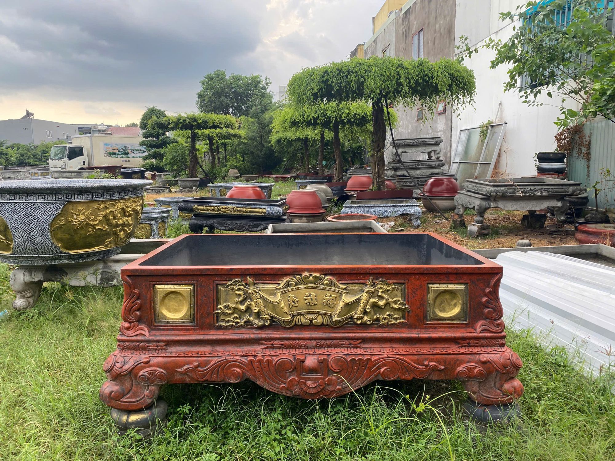 chậu trồng cây cảnh