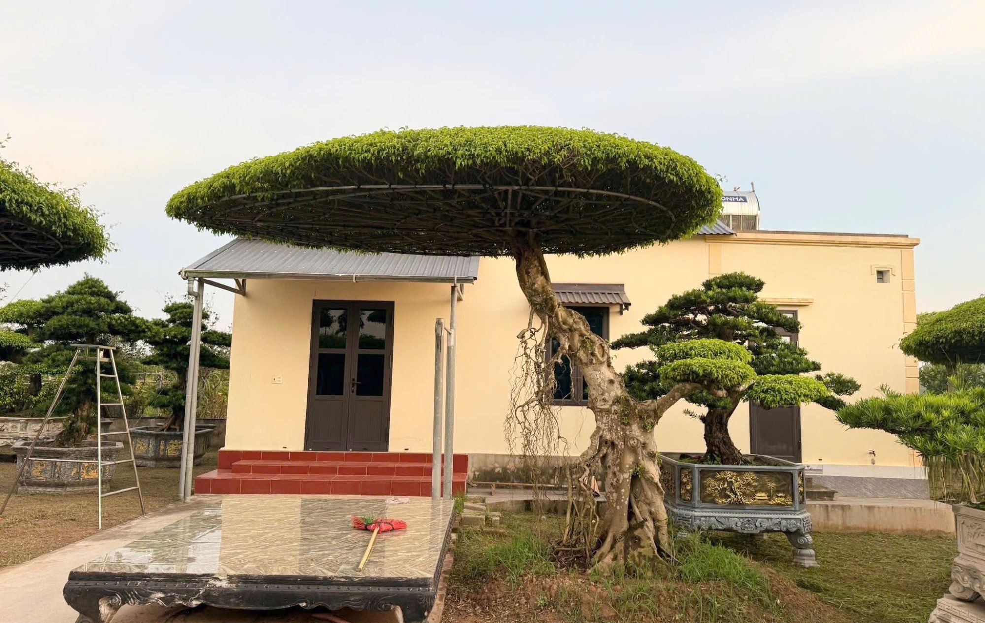 sanh lọng tán dù