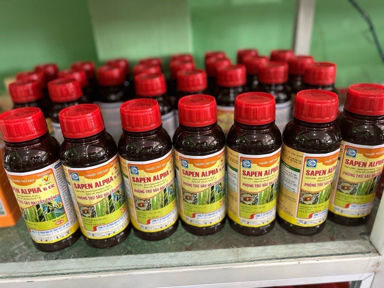 cham soc cay van tue