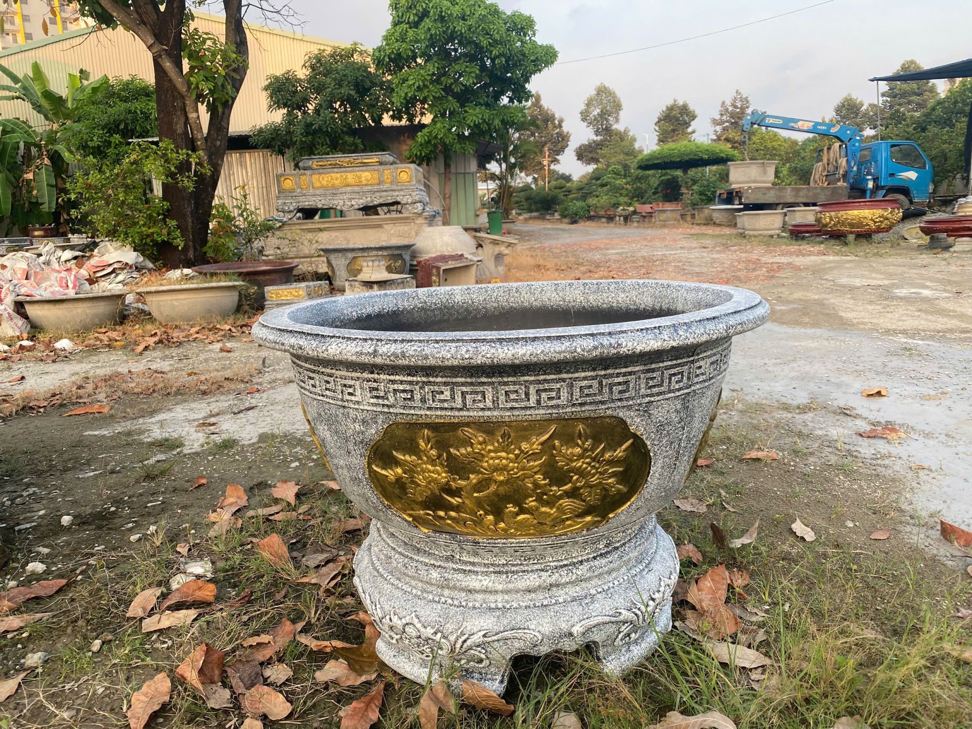 chau cay canh hinh tron