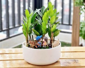 Cây đặt ở Bàn Thờ Thần Tài