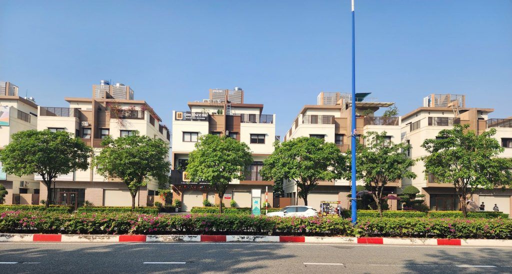 lộc vừng giá rẻ