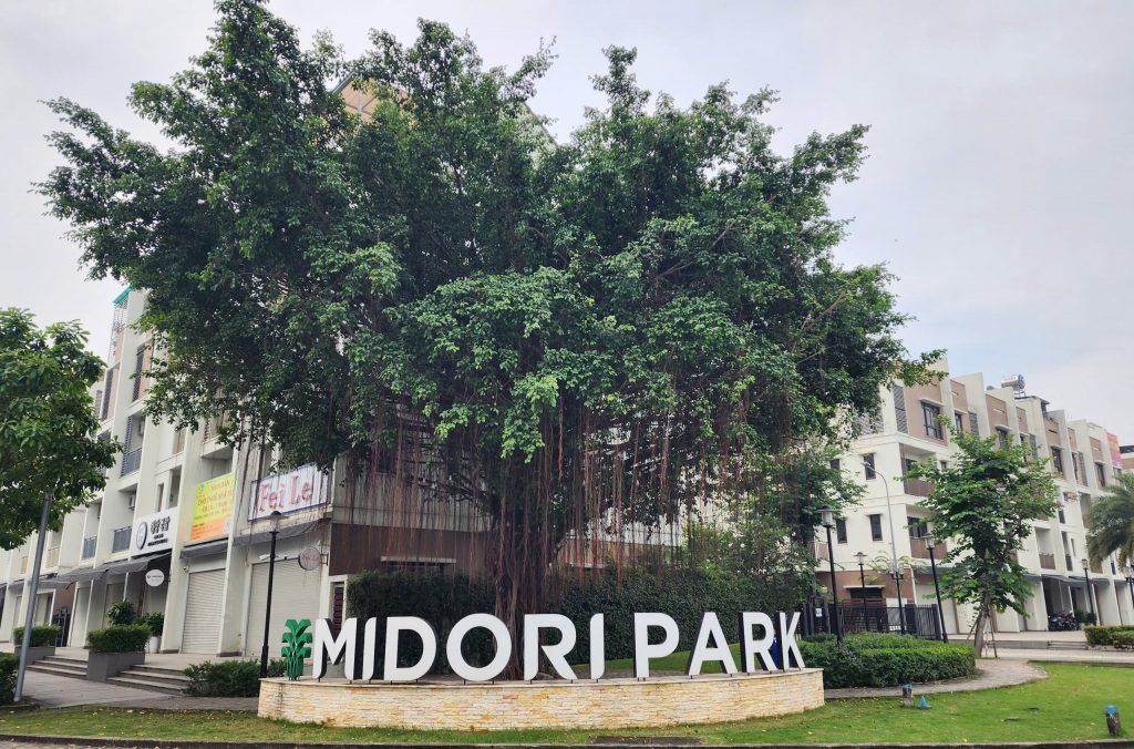 cây xanh bóng mát