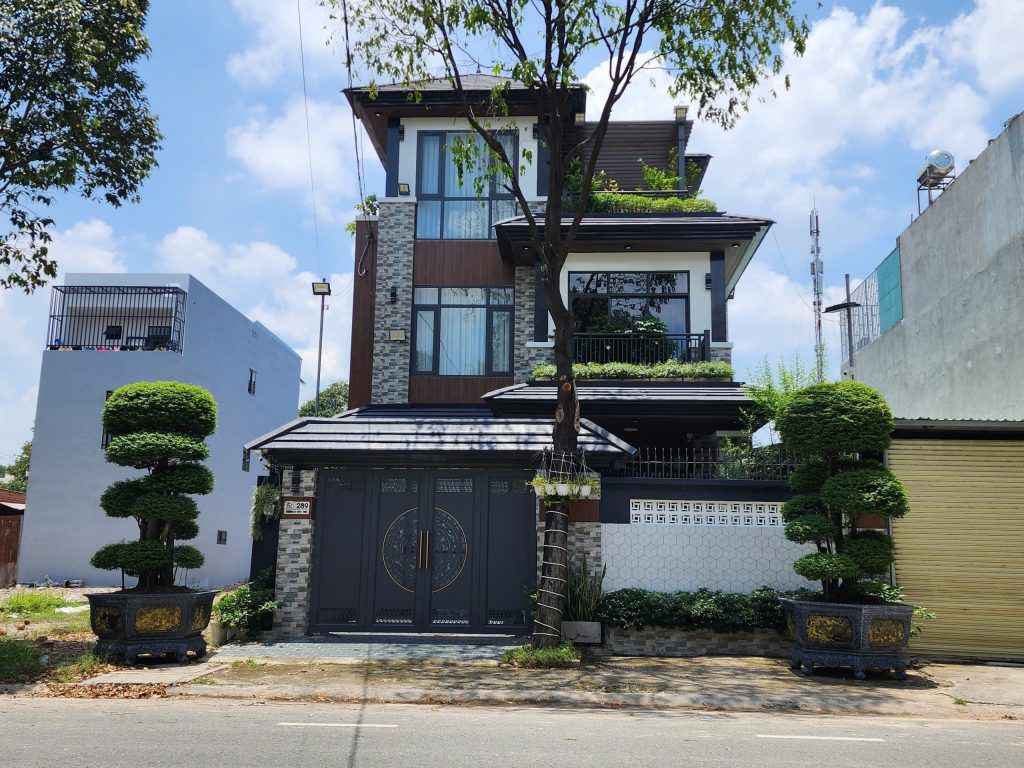 mai chiếu thuỷ bonsai