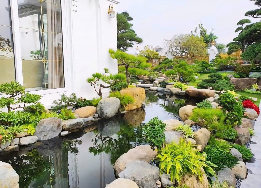 thiết kế hồ cá koi