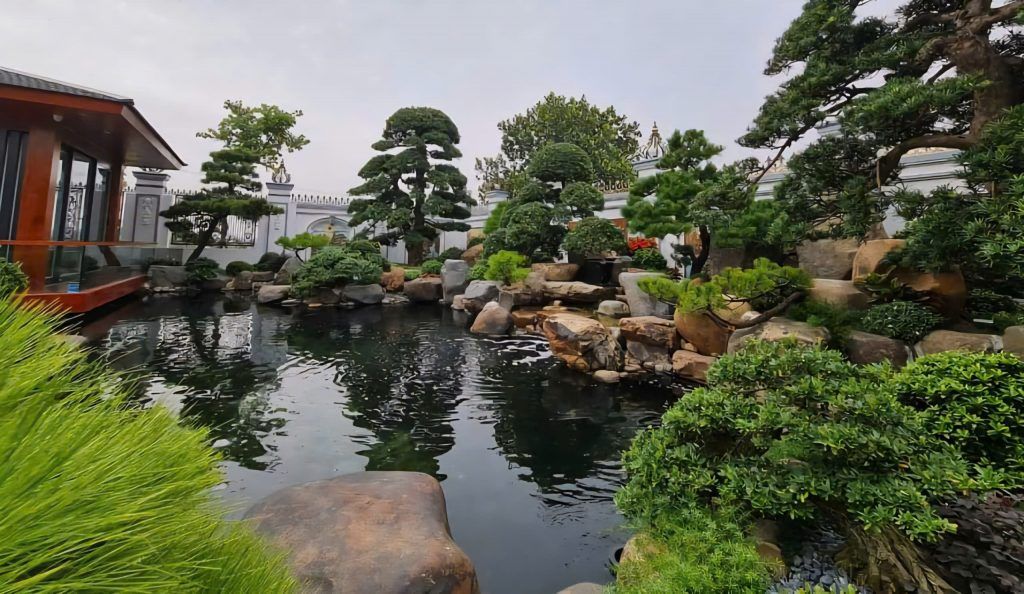 thi công hồ cá koi