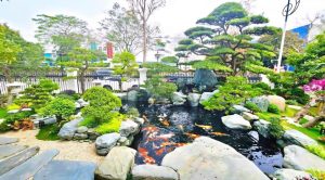 thiết kế hồ cá đẹp