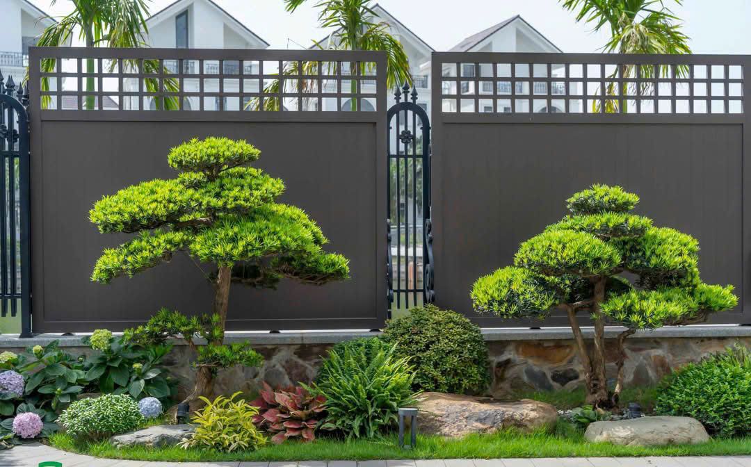 thiết kế sân vườn biệt thự