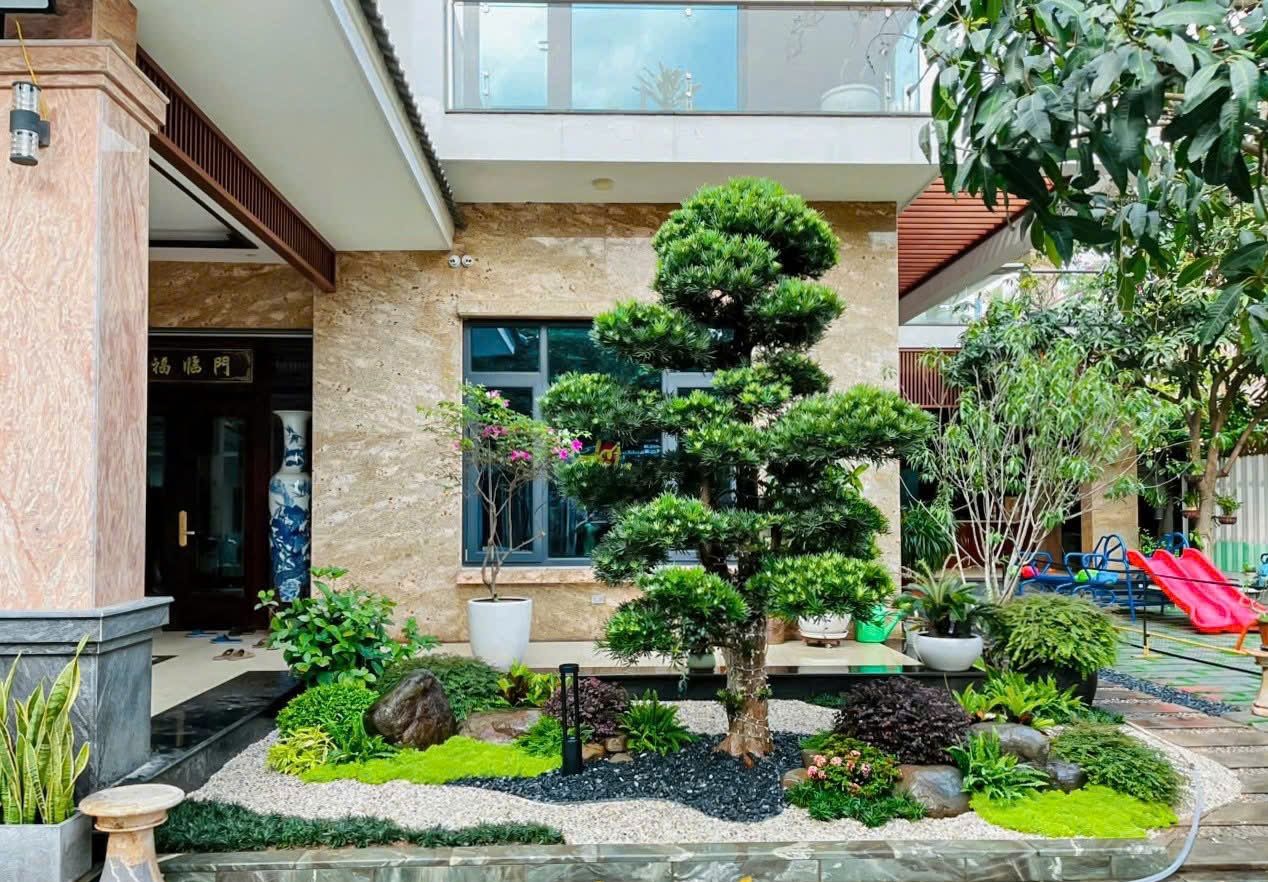 sân vườn biệt thự