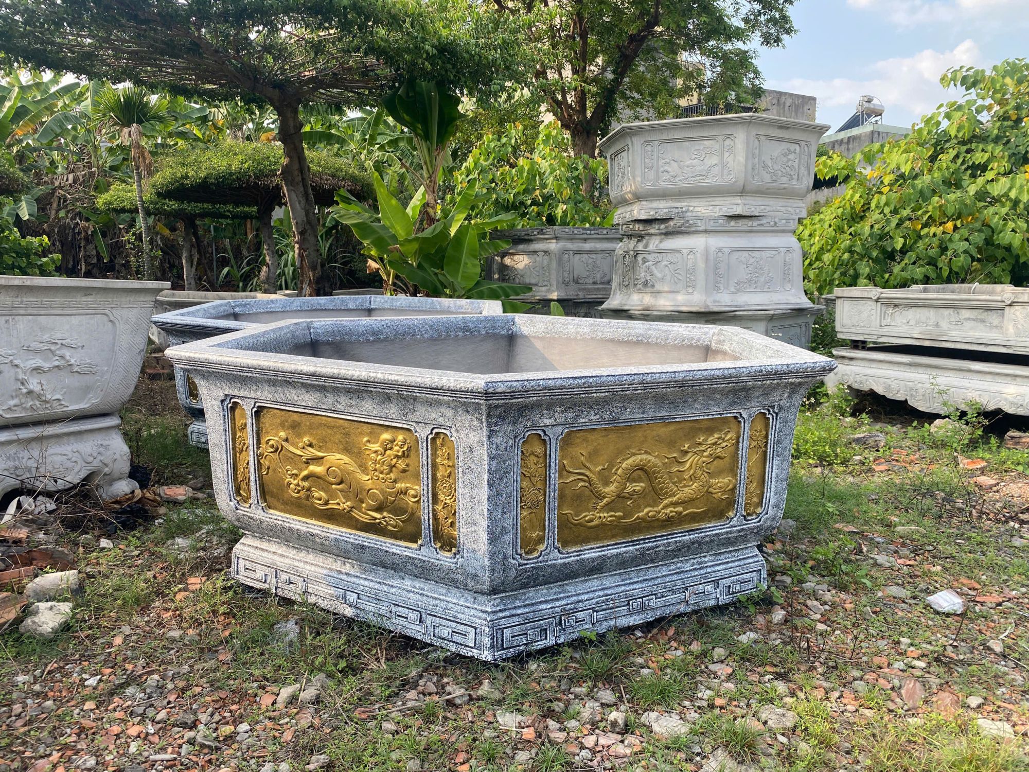 chậu lục giác đẹp