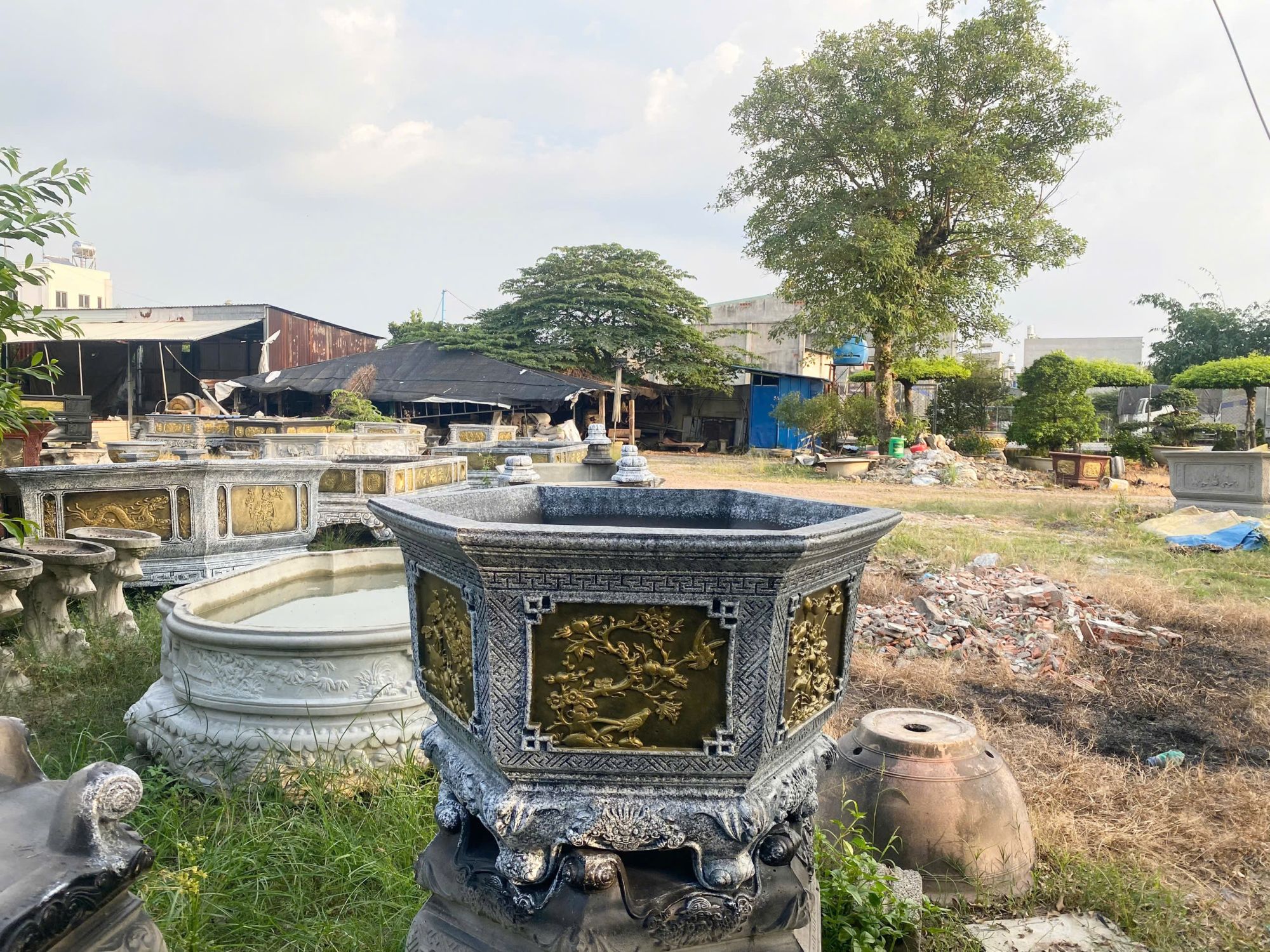 chậu trồng cây cảnh