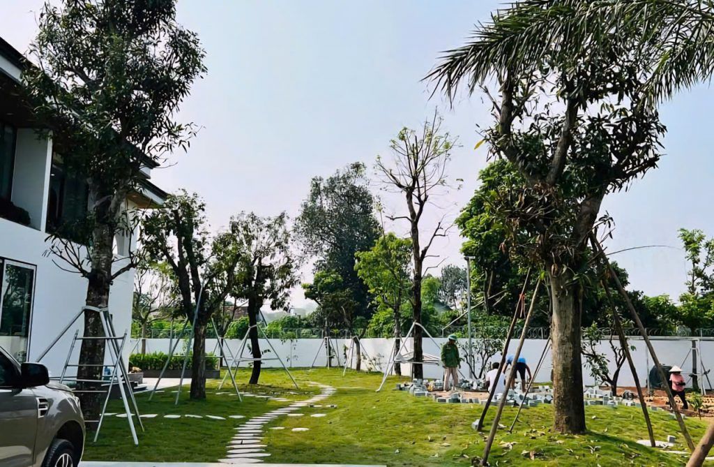 cảnh quan công ty