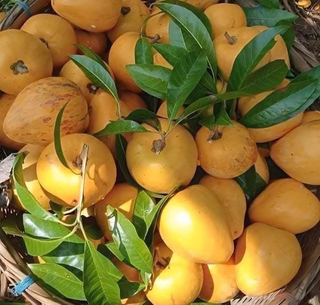 quả trứng gà
