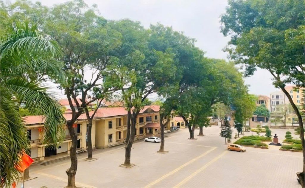 cây sọ khỉ