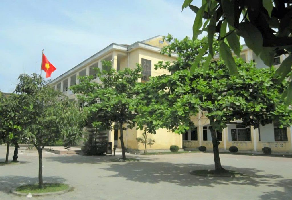 bàng lá to