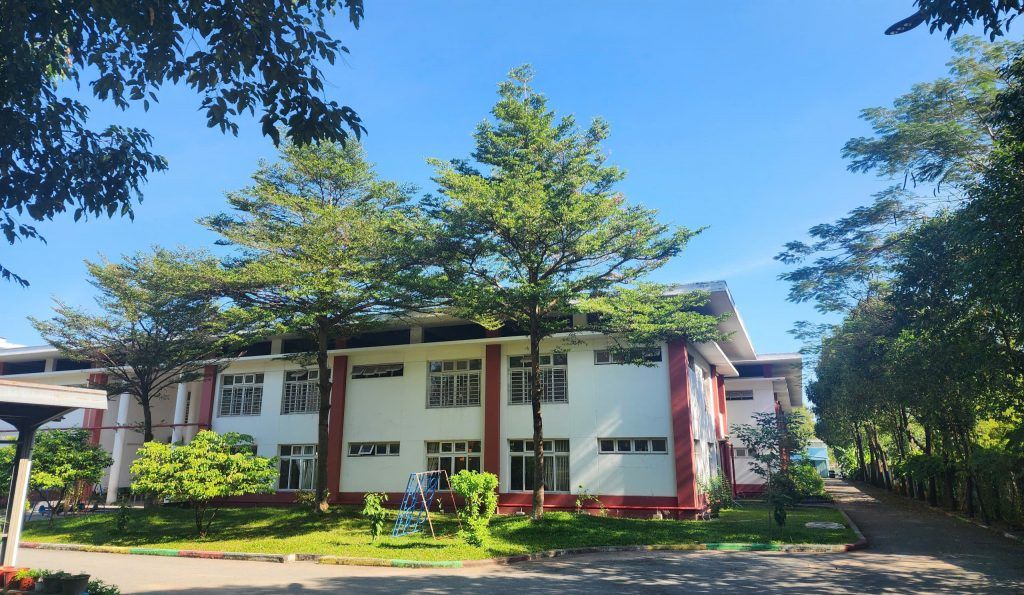 bàng đài loan đẹp