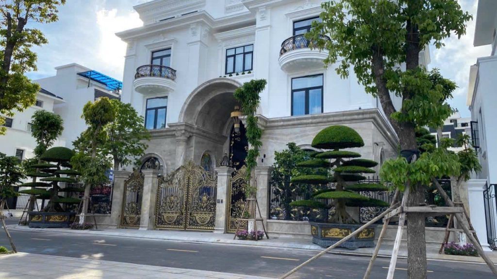 cây xanh bonsai đẹp