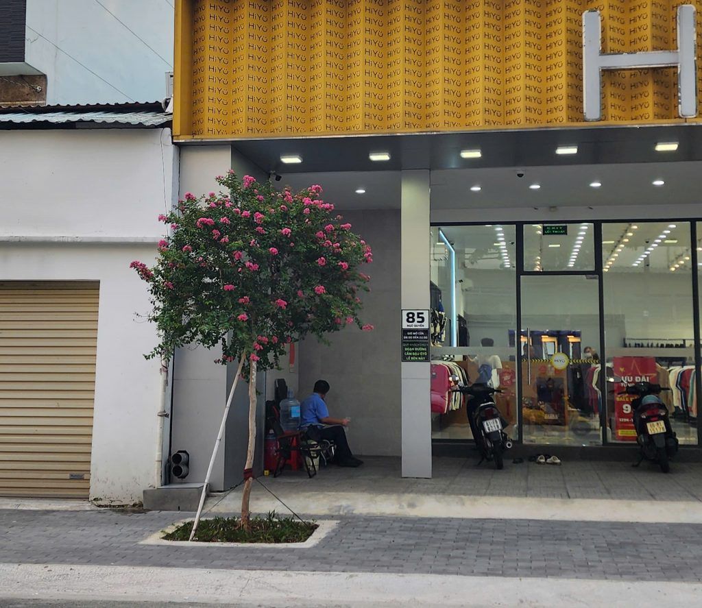 cây hoa tường vy