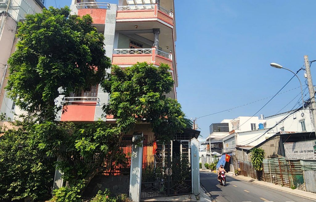 cây nhãn bình dương