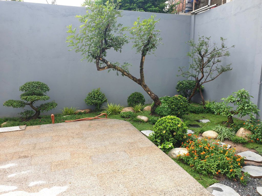 thiết kế sân vườn biệt thự