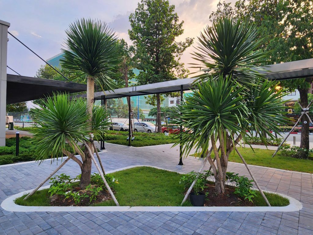 phát tài núi đẹp