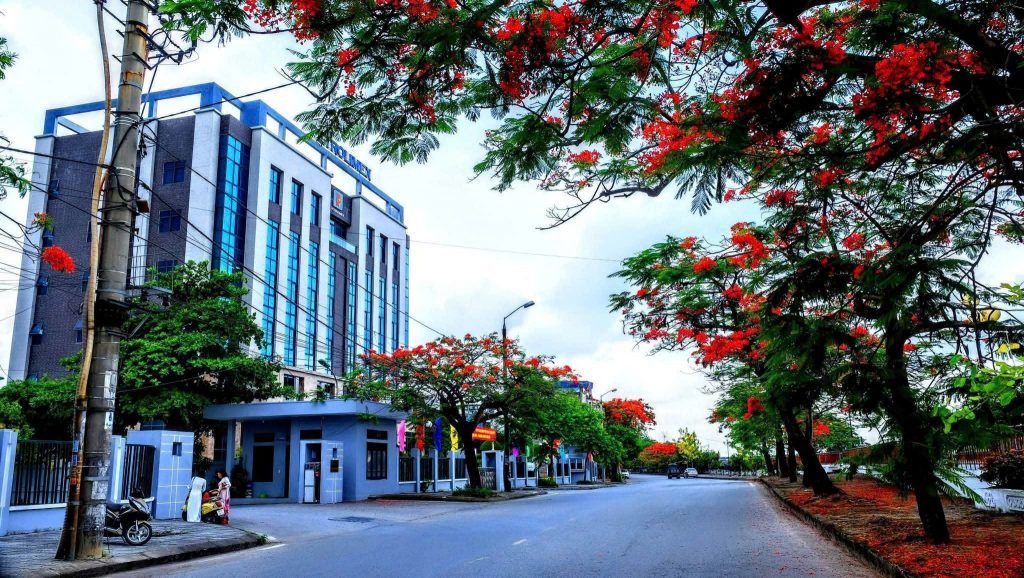 cây trồng đường phố