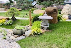 tiểu cảnh nước