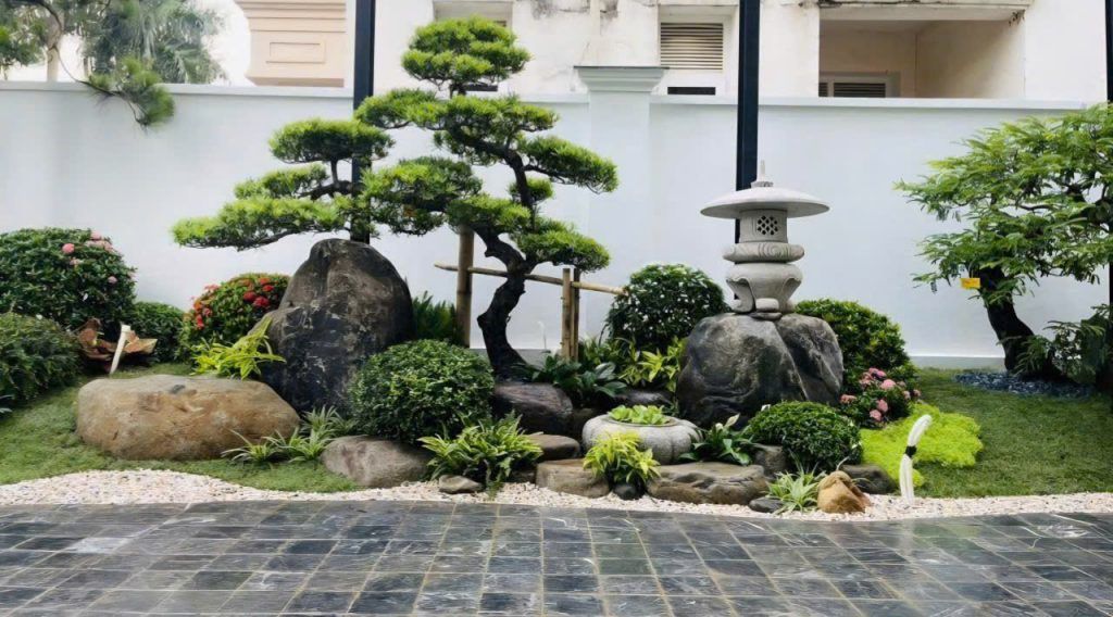 tiểu cảnh nước