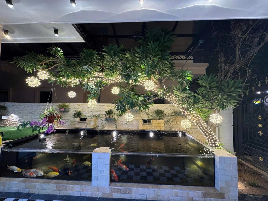 cây trứng gà