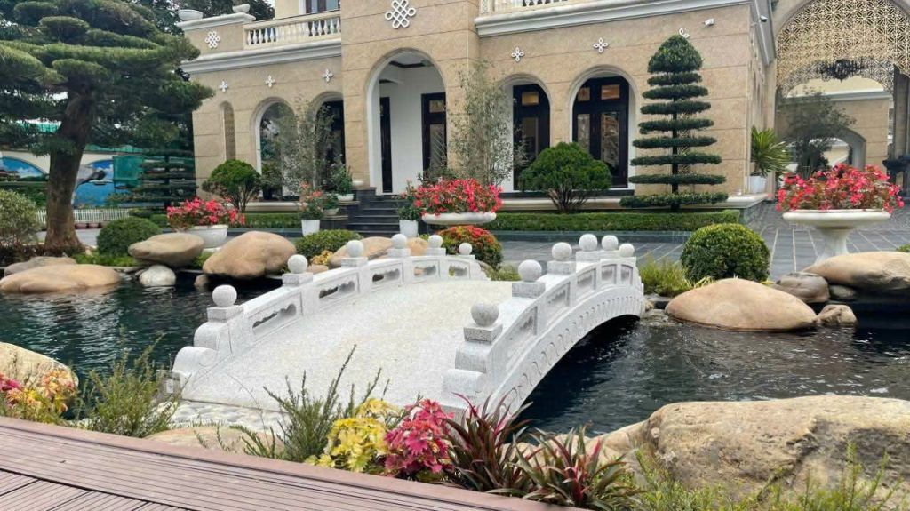thiết kế hồ cá koi