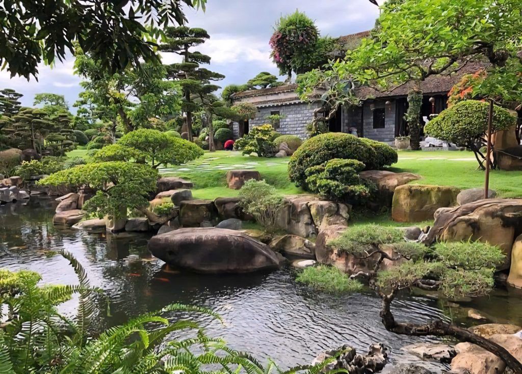 thiết kế hồ cá koi