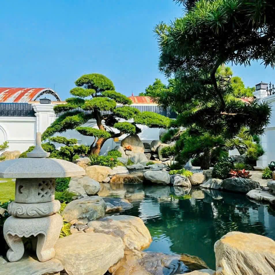 hồ cá koi đẹp