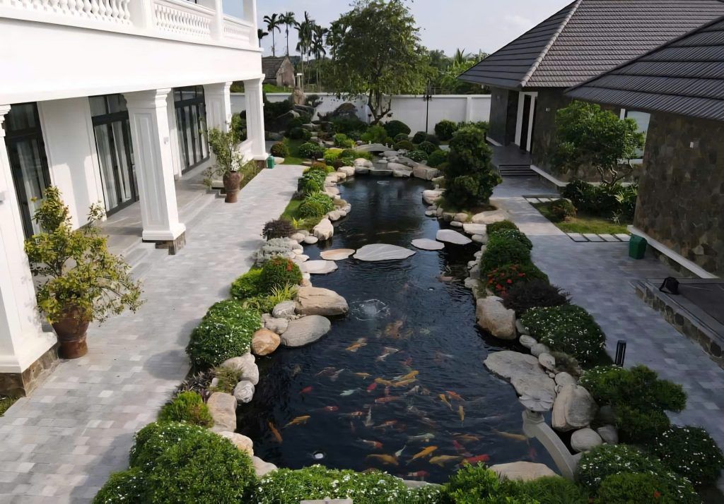 hồ cá koi đẹp