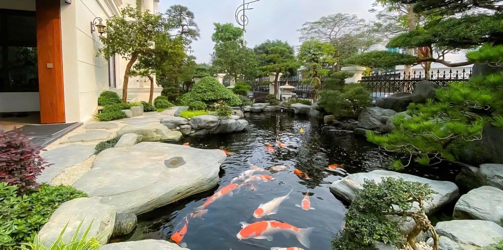 hồ cá koi đẹp