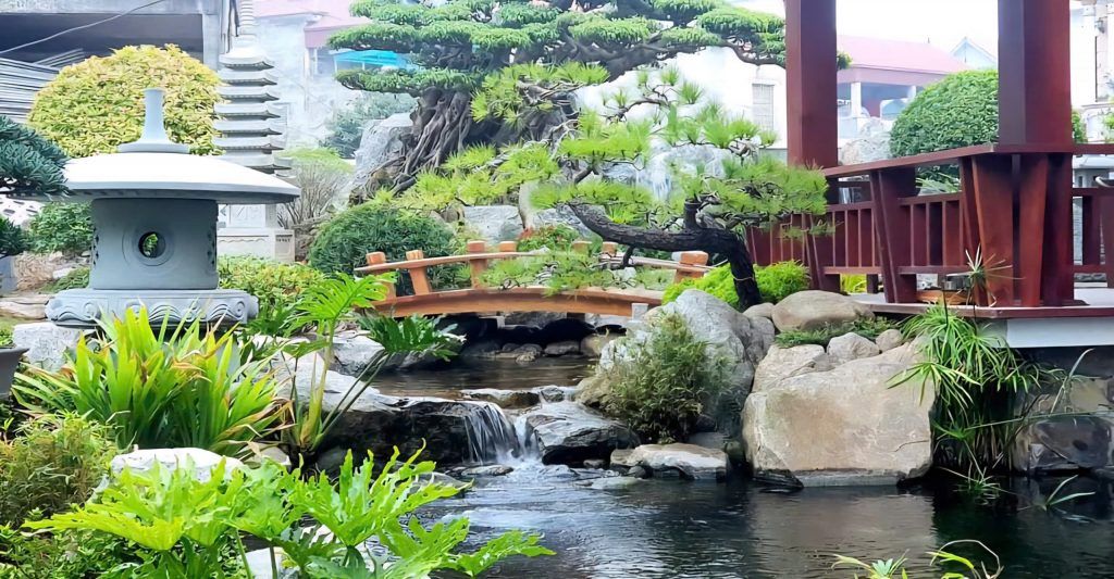 hồ cá koi đẹp