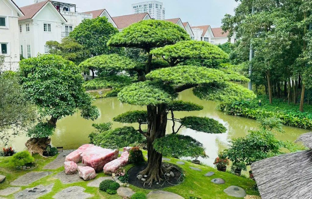 sân vườn biệt thự