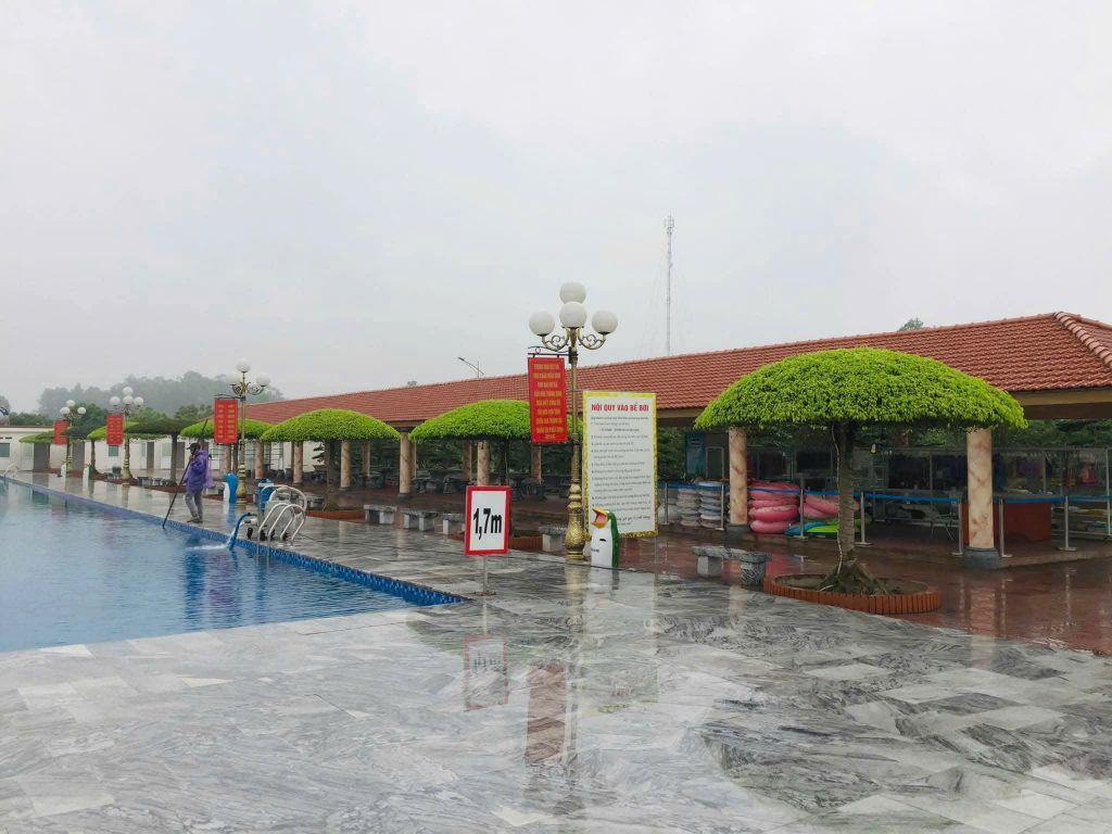 cây xanh tàn dù