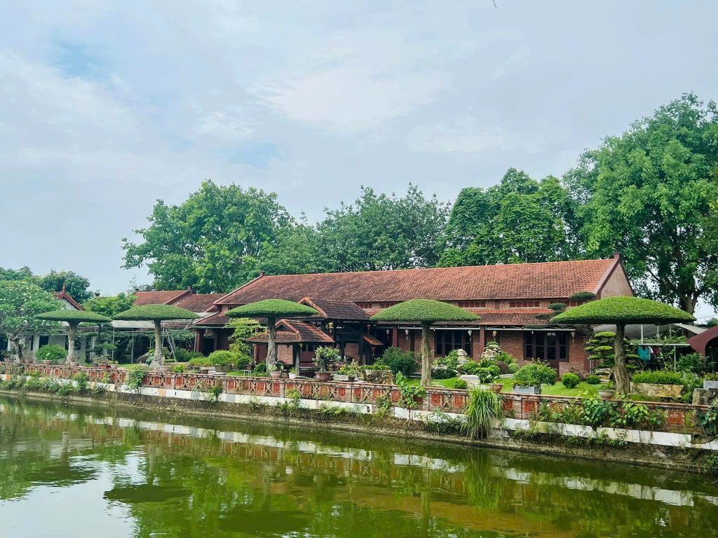 cây sanh lọng đẹp