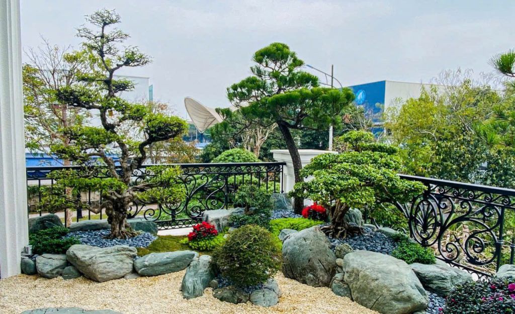 sân vườn đẹp